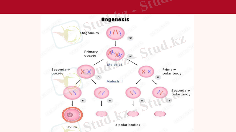 Slide 10