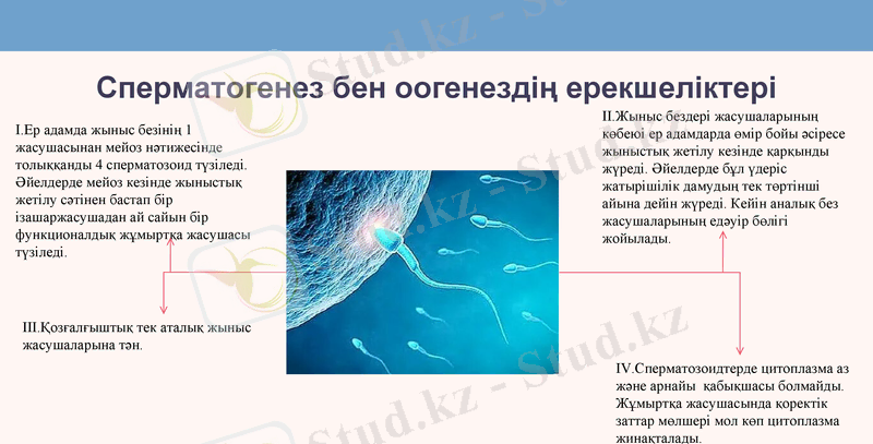 Slide 11
