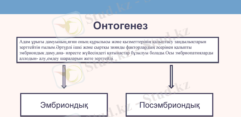 Slide 12
