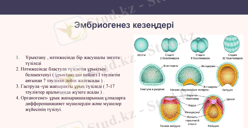 Slide 13
