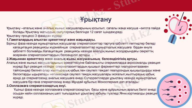 Slide 14