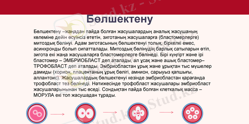 Slide 15