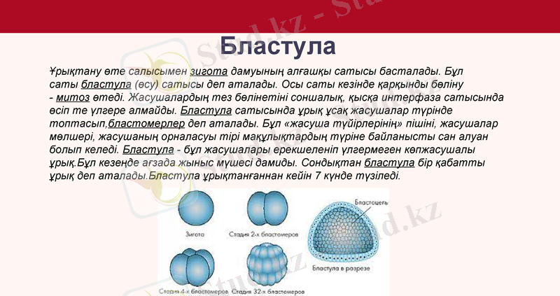Slide 16