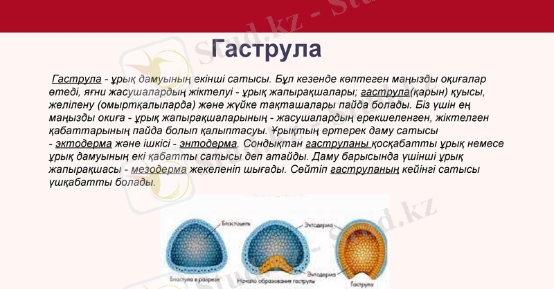 Slide 17