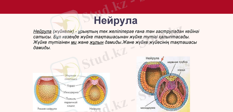 Slide 18