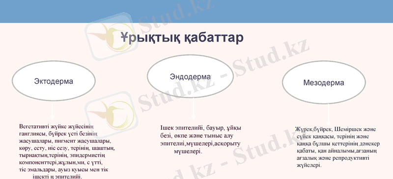 Slide 19