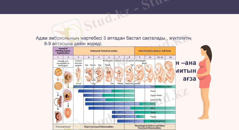 Slide 20