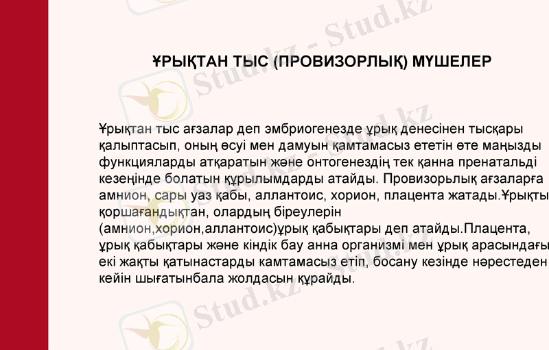 Slide 21