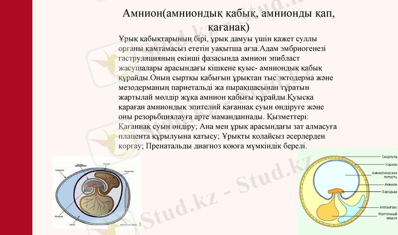 Slide 23
