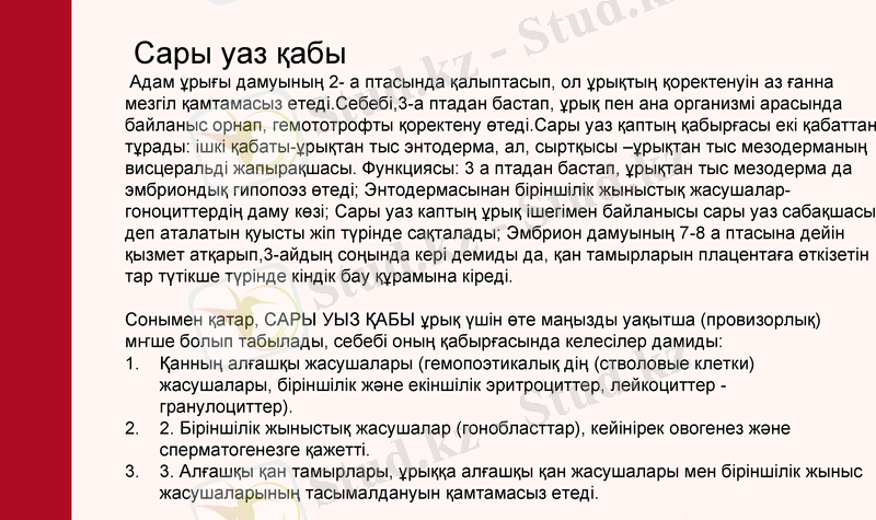 Slide 24