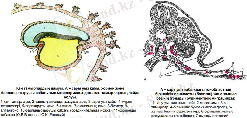 Slide 25