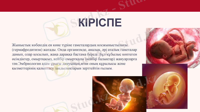 Slide 3