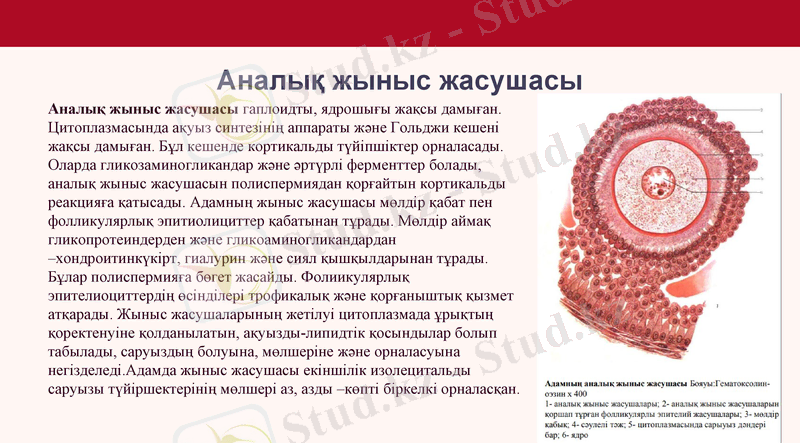 Slide 9