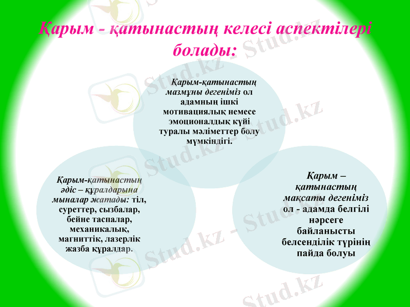 Slide 11