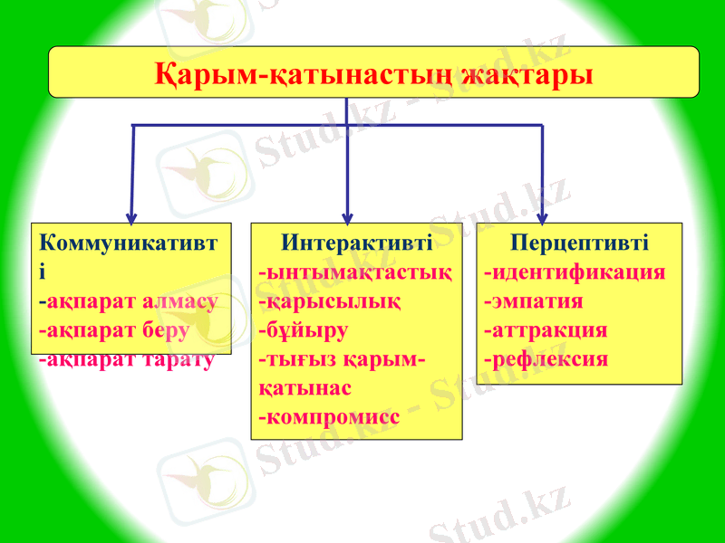 Slide 12