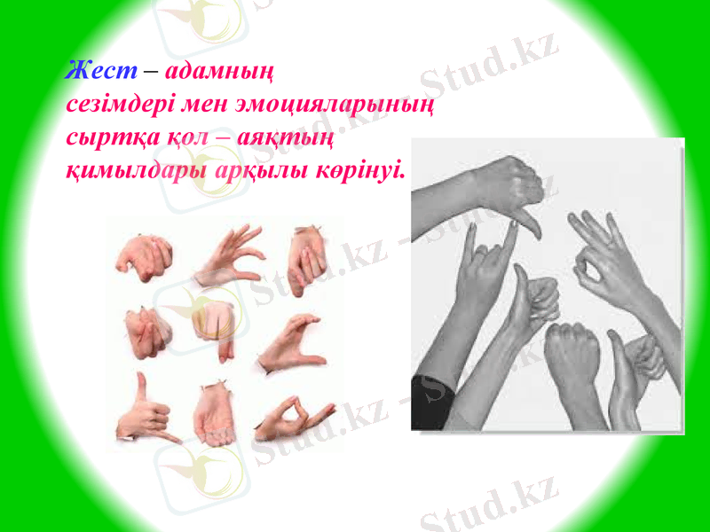 Slide 21