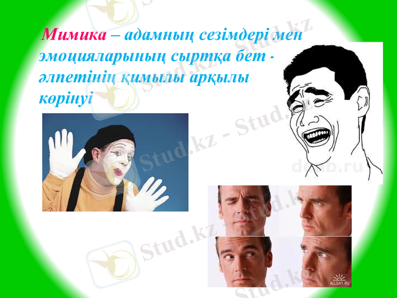 Slide 22