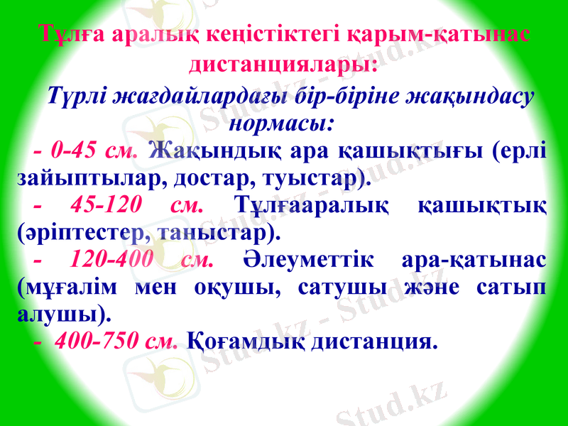 Slide 24
