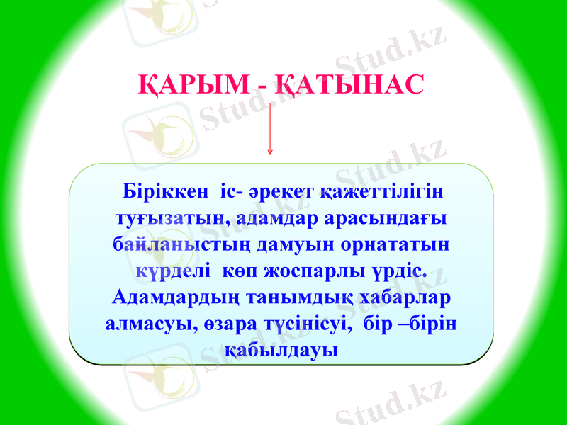 Slide 7
