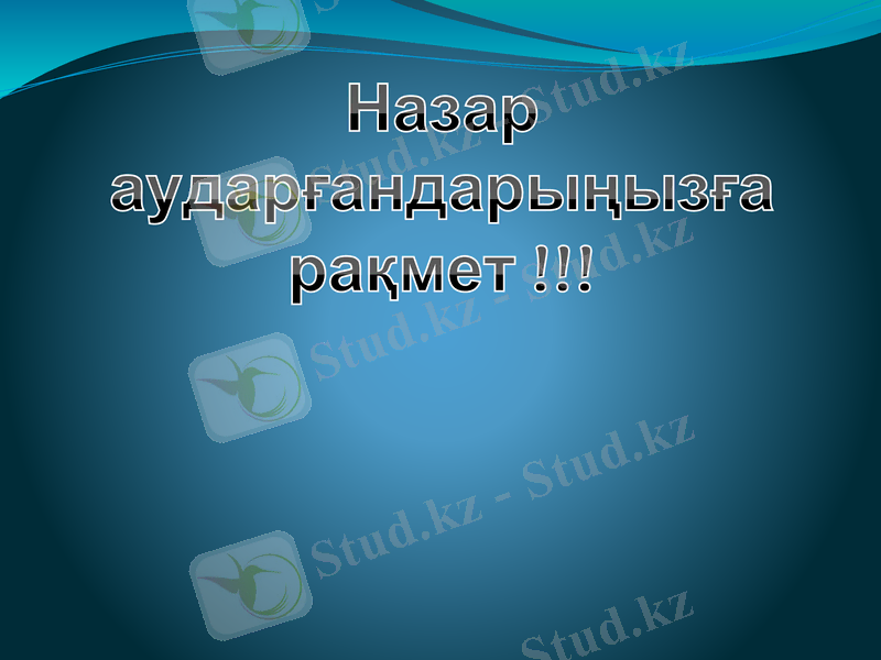 Slide 16