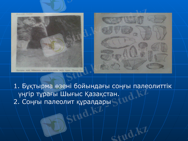 Slide 20