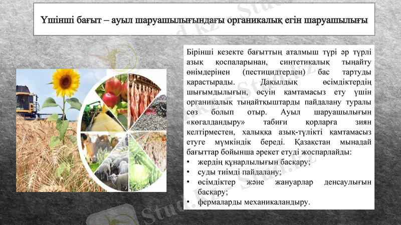 Slide 13