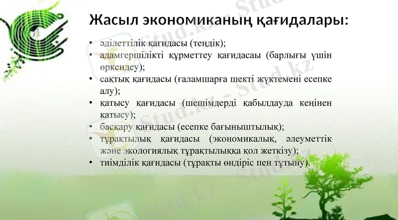 Slide 7
