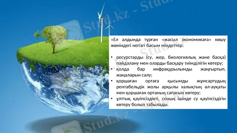 Slide 8