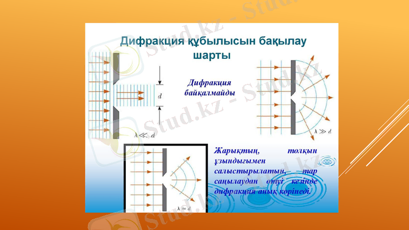 Slide 11
