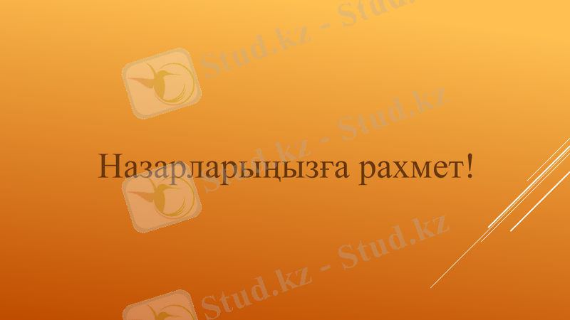 Slide 12