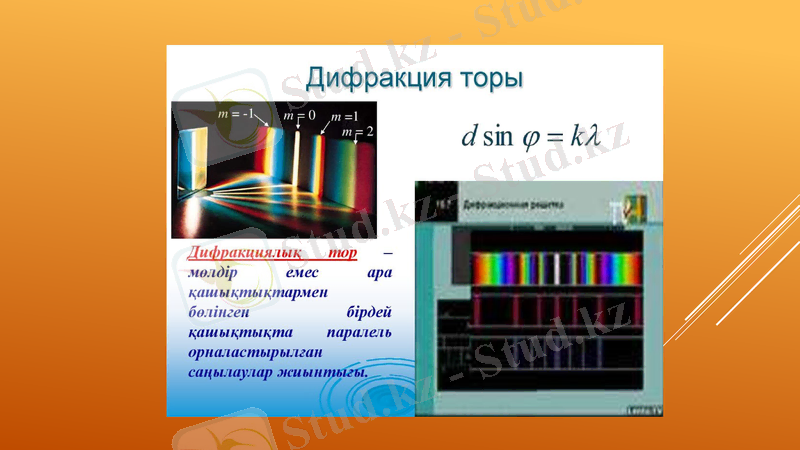 Slide 9