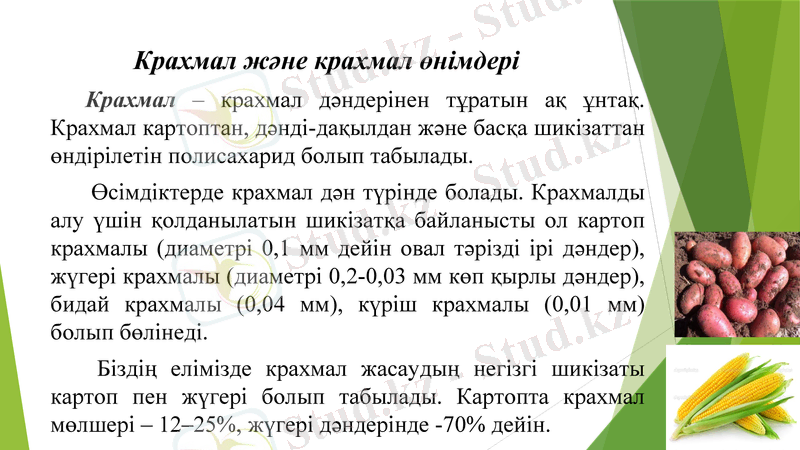 Slide 12