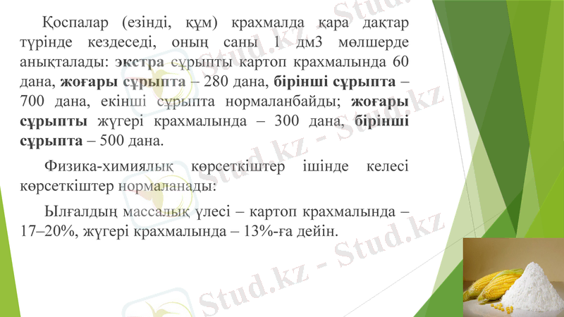 Slide 24