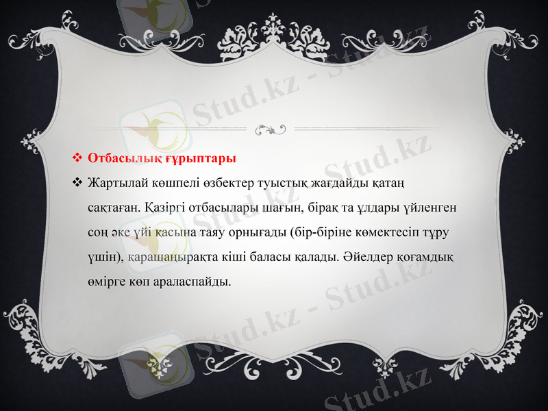 Slide 9