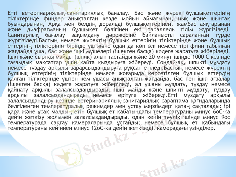 Slide 10