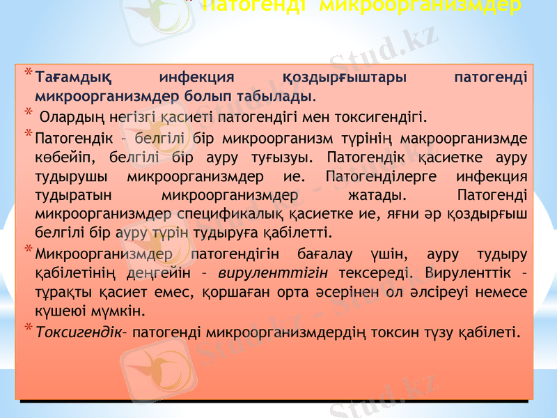 Slide 11