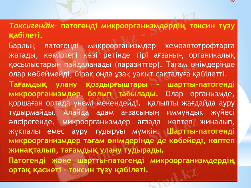 Slide 12