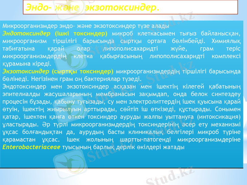 Slide 13