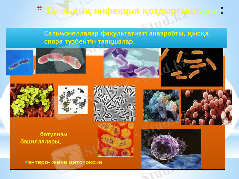 Slide 15