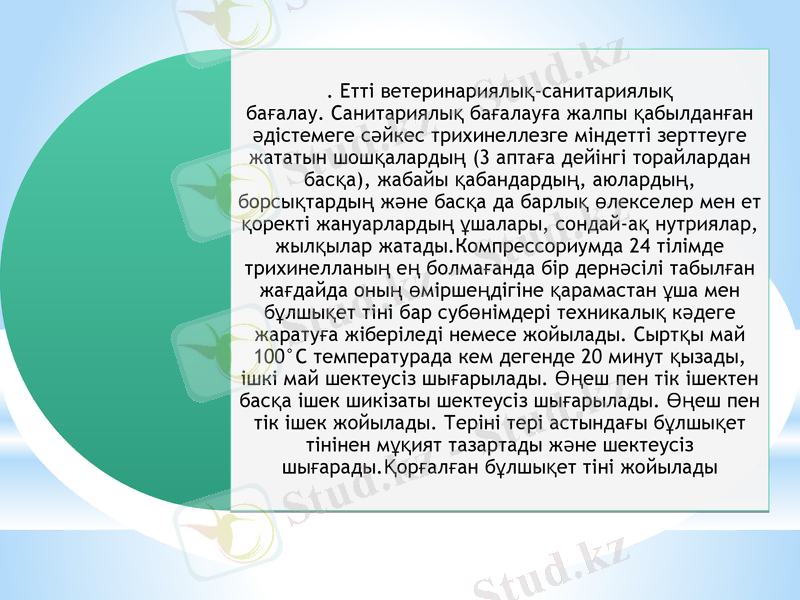 Slide 7