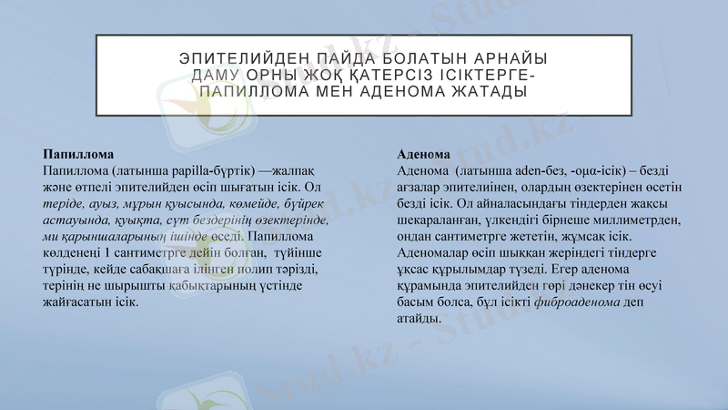 Slide 12
