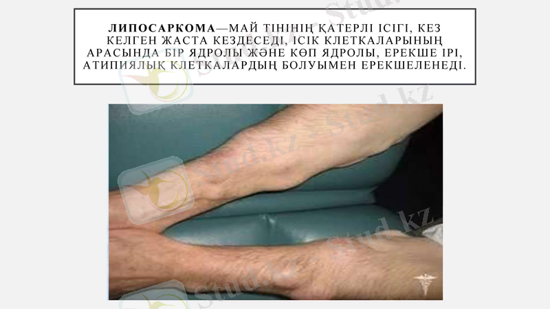 Slide 19