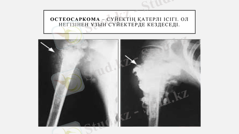 Slide 23