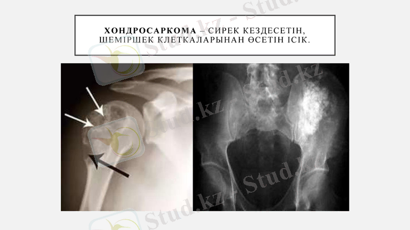 Slide 24