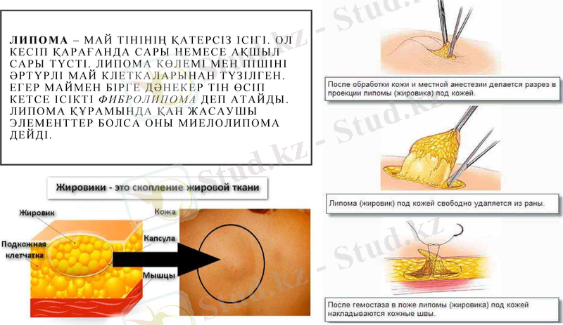 Slide 7