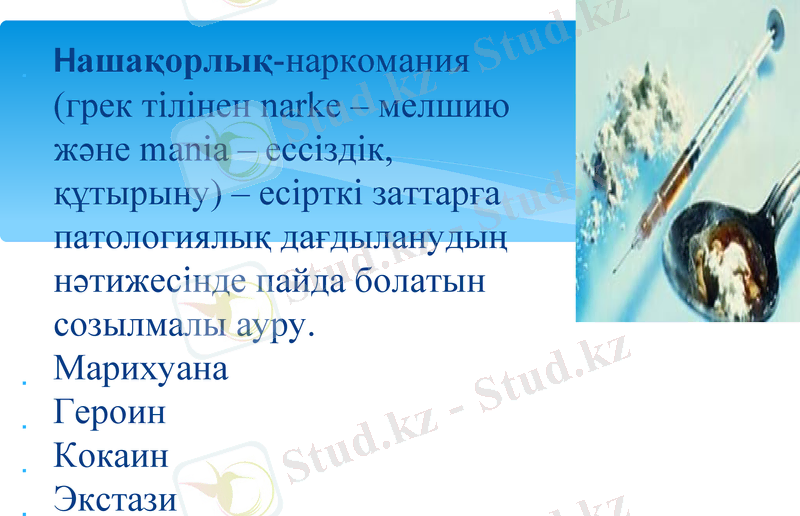 Slide 12