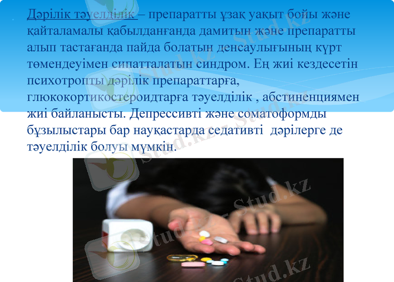 Slide 13