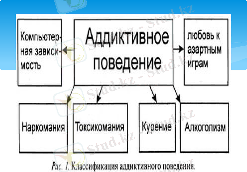 Slide 9