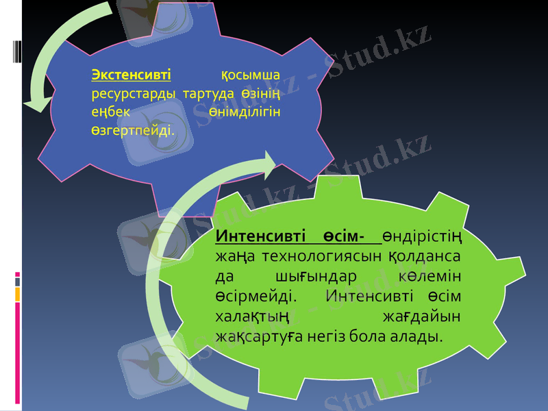 Slide 15