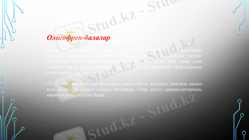 Slide 13